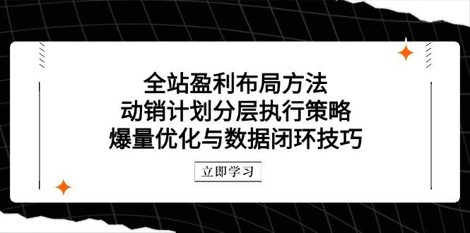 （14698期）全站盈利布局方法：动销计划分层执行策略，爆量优化与数据闭环技巧-知享知识库
