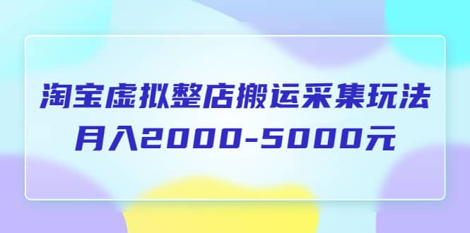 淘宝虚拟整店搬运采集玩法分享课：月入2000-5000元（5节课）-知享知识库