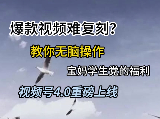 视频号4.0重磅上线，爆款视频难复刻？教你无脑操作宝妈学生党的福利【揭秘】-知享知识库