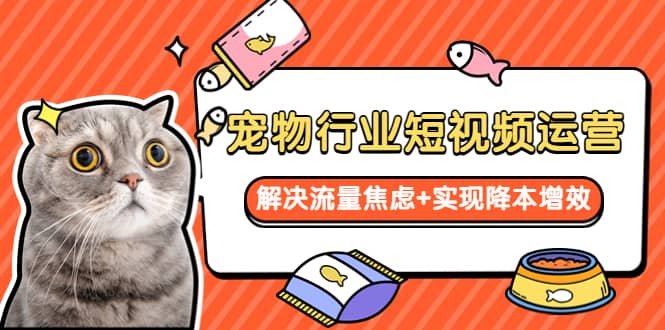 宠物/行业短视频运营 流量增长的一层窗户纸 解决流量焦虑+实现降本增效-知享知识库