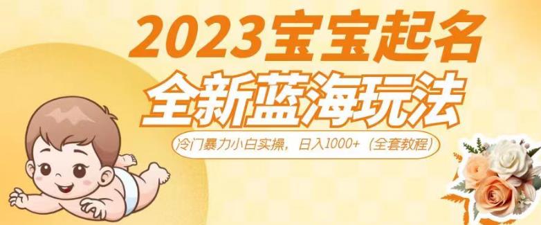 2023宝宝起名全新蓝海玩法,冷门暴力小白实操,日入1000+(全套教程)【揭秘】-知享知识库