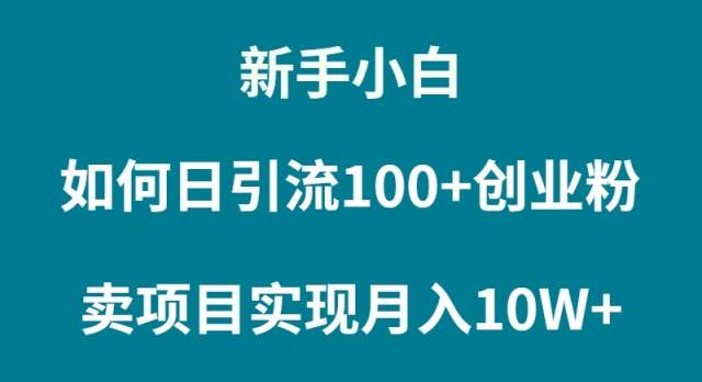(9556期)新手小白如何通过卖项目实现月入10W+-知享知识库