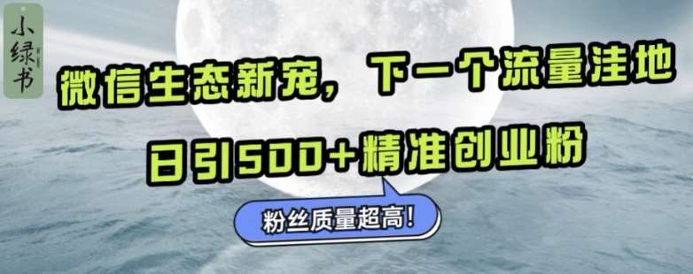 微信生态新宠小绿书：下一个流量洼地，日引500+精准创业粉，粉丝质量超高-知享知识库