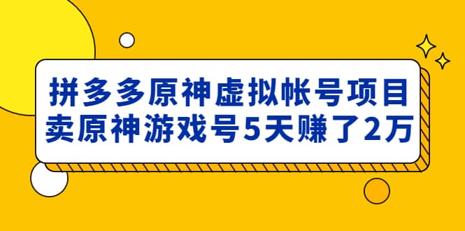 外面卖2980的拼多多原神虚拟帐号项目-知享知识库
