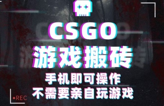 CSGO游戏挂G捡漏,单日扫货5张+,年底小高峰上车可吃肉,手机即可操作,兼职副业创业网创【揭秘】-知享知识库