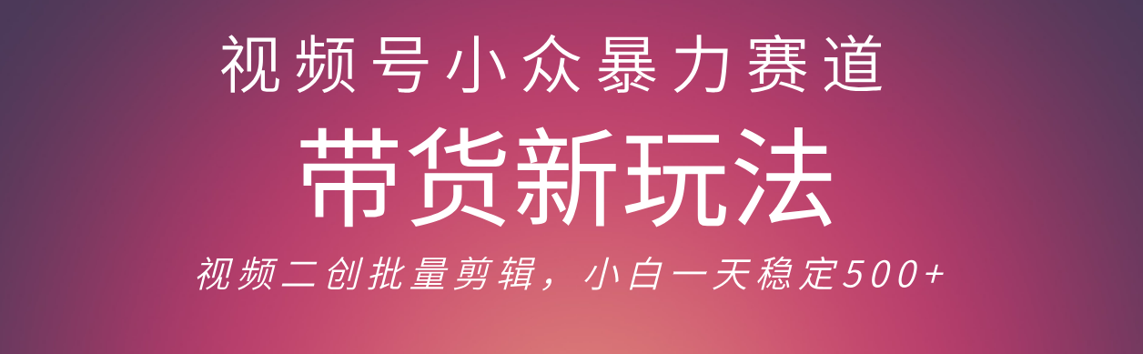 视频号小众暴力赛道，最新带货玩法 小白也能轻松日入500+ 保姆及教程-知享知识库