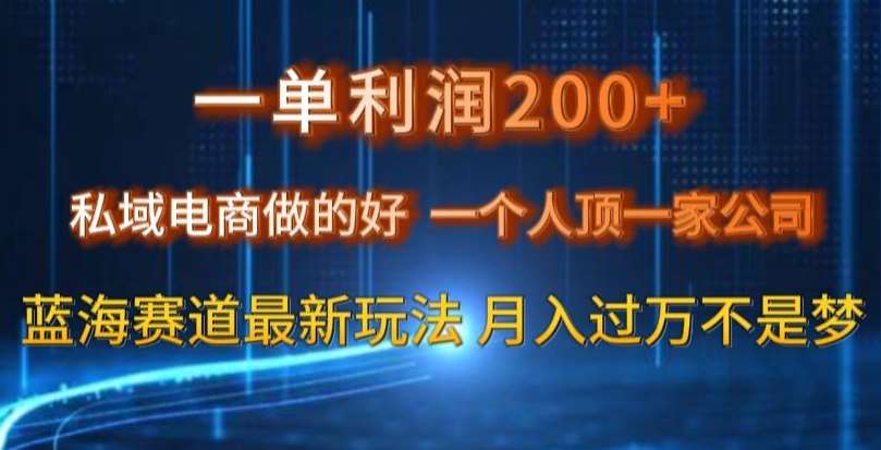 一单利润200私域电商做的好，一个人顶一家公司蓝海赛道最新玩法【揭秘】-知享知识库