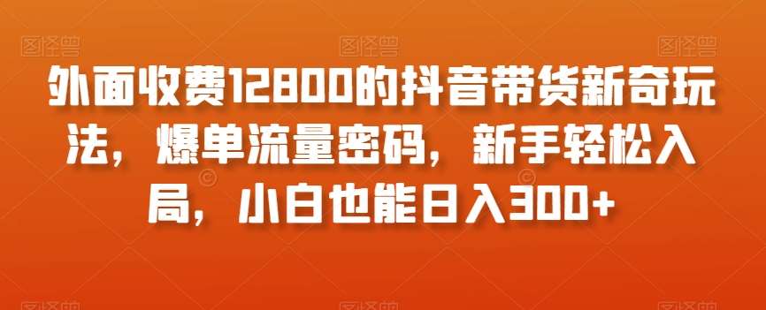 外面收费12800的抖音带货新奇玩法,爆单流量密码,新手轻松入局,小白也能日入300+【揭秘】-知享知识库