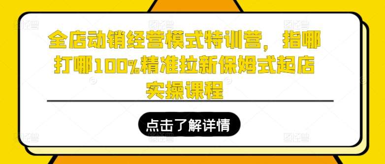 全店动销经营模式特训营，指哪打哪100%精准拉新保姆式起店实操课程-知享知识库