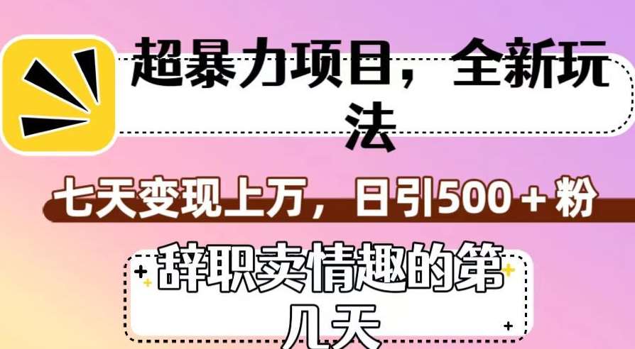 超暴利项目，全新玩法（辞职卖情趣的第几天），七天变现上万，日引500+粉【揭秘】-知享知识库