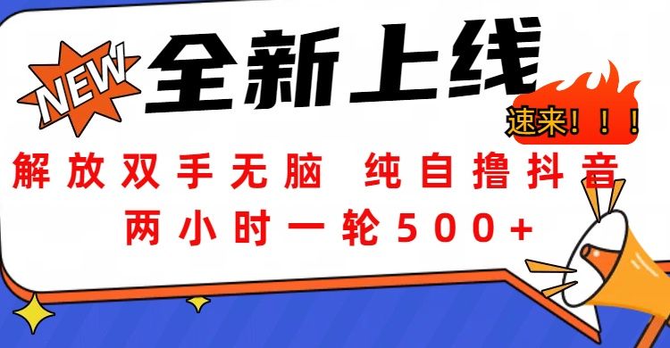 解放双手无脑 纯自撸抖音 两小时一轮500+-知享知识库