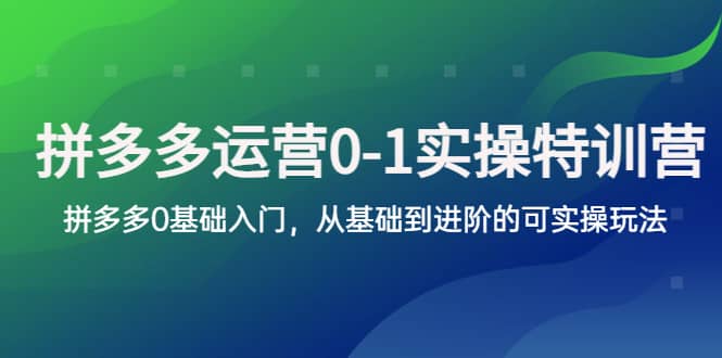 拼多多-运营0-1实操训练营，拼多多0基础入门，从基础到进阶的可实操玩法-知享知识库