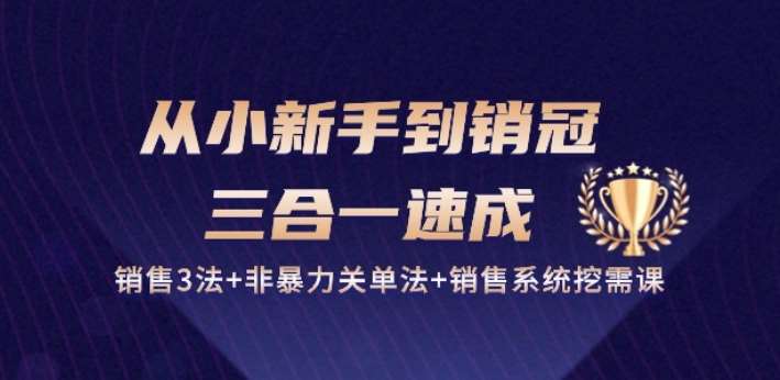 从小新手到销冠 三合一速成：销售3法+非暴力关单法+销售系统挖需课 (27节)-知享知识库