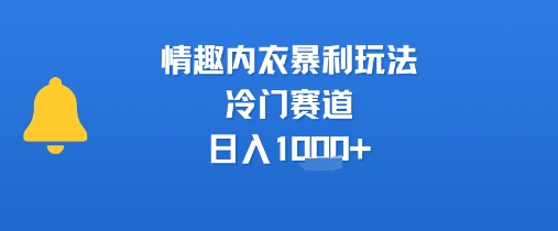 情趣内衣暴利玩法，冷门赛道，日入1k+-知享知识库