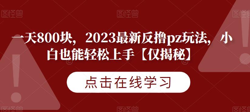 一天800块,2023最新反撸pz玩法,小白也能轻松上手【仅揭秘】-知享知识库