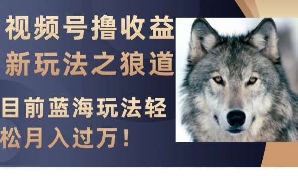 视频号撸收益新玩法之狼道，目前蓝海玩法，轻松月入过万【揭秘】-知享知识库