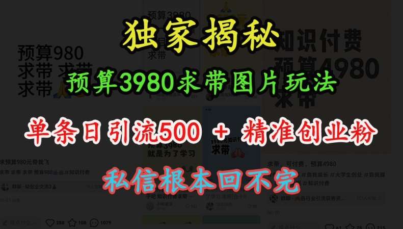 预算3980求带 图片玩法，单条日引流500+精准创业粉，私信根本回不完-知享知识库