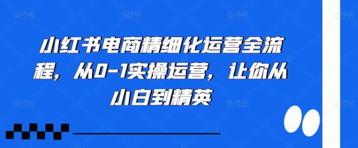 小红书电商精细化运营全流程，从0-1实操运营，让你从小白到精英-知享知识库