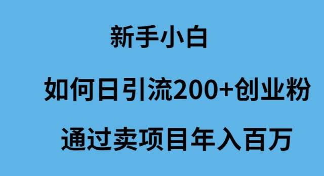 新手小白如何日引流200+创业粉通过卖项目年入百万-知享知识库