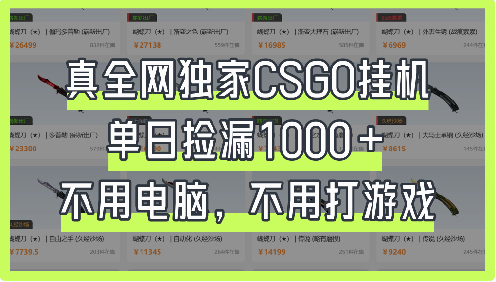 真全网独家CSGO挂机,单日捡漏1000+-知享知识库