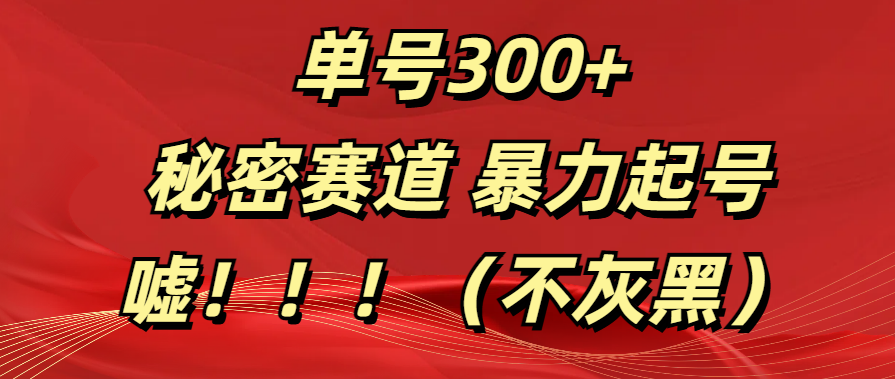 单号300+  秘密赛道 暴力起号  （不灰黑）-知享知识库