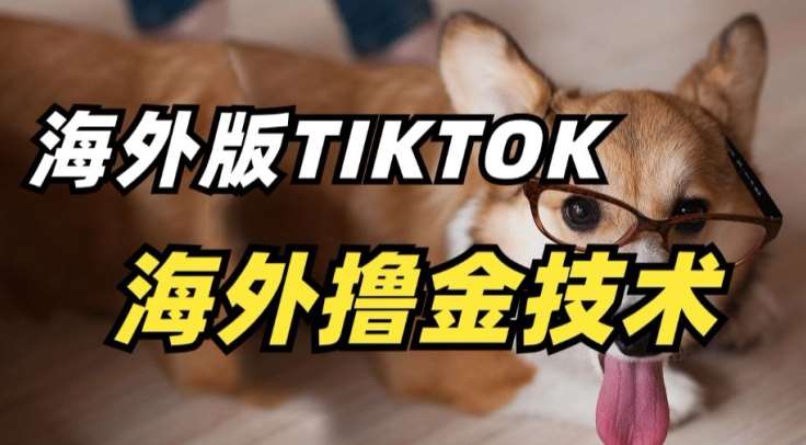 抖音海外版tiktok撸金技术，这个风口行业，赚钱真的不难【揭秘】-知享知识库