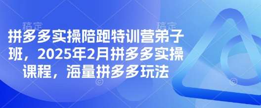 拼多多实操陪跑特训营弟子班，2025年2月拼多多实操课程，海量拼多多玩法-知享知识库