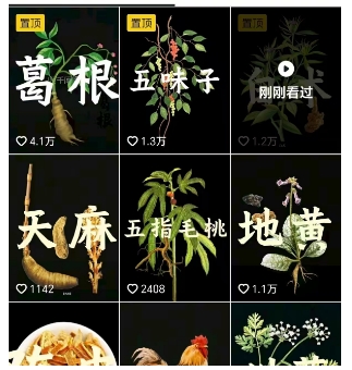 图片[2]-抖音中草药赛道，用AI做中草药故事视频，45条作品涨粉13W，橱窗带货猛猛出单-知享知识库