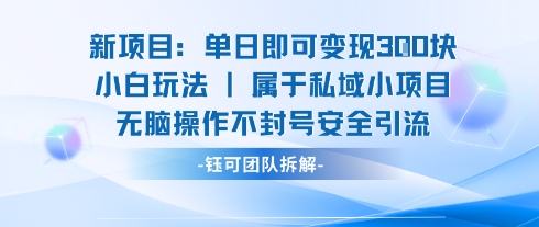 新项目单日即可变现3张的小白玩法无脑操作不封号安全引流-知享知识库