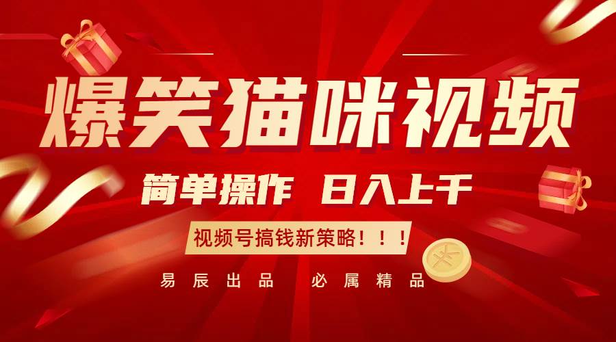 爆笑猫咪视频：简单操作，日入过千，视频号搞钱新策略！-知享知识库