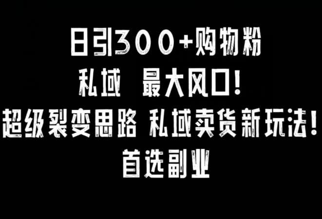 日引300+购物粉,超级裂变思路,私域卖货新玩法,小红书首选副业【揭秘】-知享知识库
