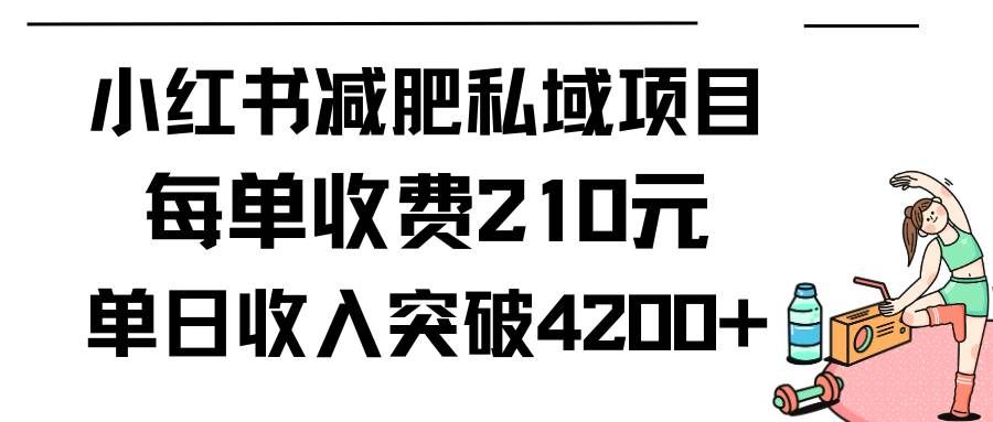 （9466期）小红书减肥私域项目每单收费210元单日成交20单，最高日入4200+-知享知识库