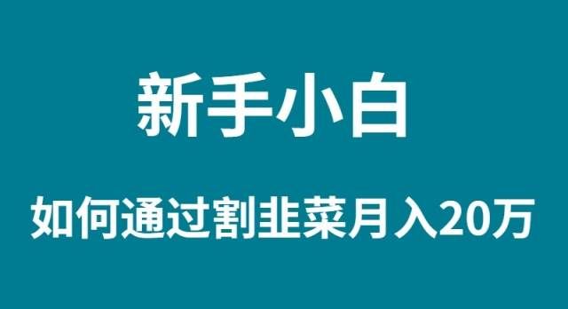 (9308期)新手小白如何通过割韭菜月入 20W-知享知识库