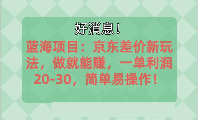 （10989期）越早知道越能赚到钱的蓝海项目：京东大平台操作，一单利润20-30，简单…-知享知识库