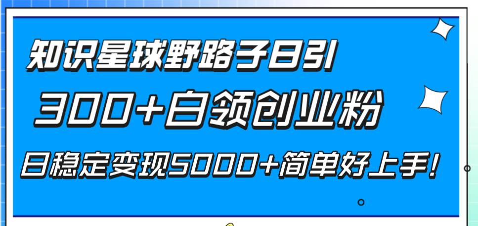 （8315期）知识星球野路子日引300+白领创业粉，日稳定变现5000+简单好上手！-知享知识库