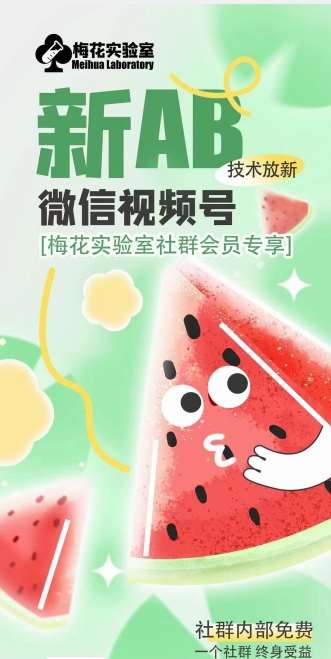 梅花实验室2024年AB技术视频号AB合成破解版-知享知识库