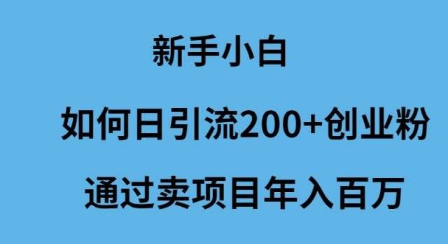 (9668期)新手小白如何日引流200+创业粉通过卖项目年入百万-知享知识库