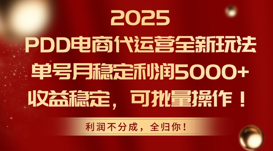 （14839期）2025PDD电商代运营全新玩法，单号月稳定利润5000+，收益稳定，可批量操作-知享知识库