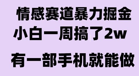 情感暴力掘金项目，新人操作一周挣了2W，长期稳定小白可做【揭秘】-知享知识库