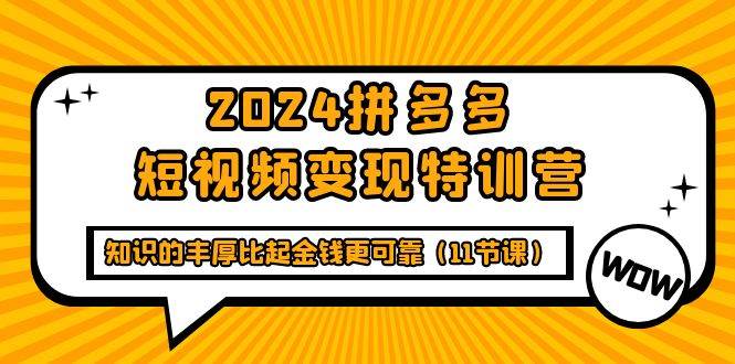 （9817期）2024拼多多短视频变现特训营，知识的丰厚比起金钱更可靠（11节课）-知享知识库
