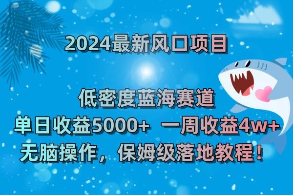 （8545期）2024最新风口项目 低密度蓝海赛道，日收益5000+周收益4w+ 无脑操作，保…-知享知识库