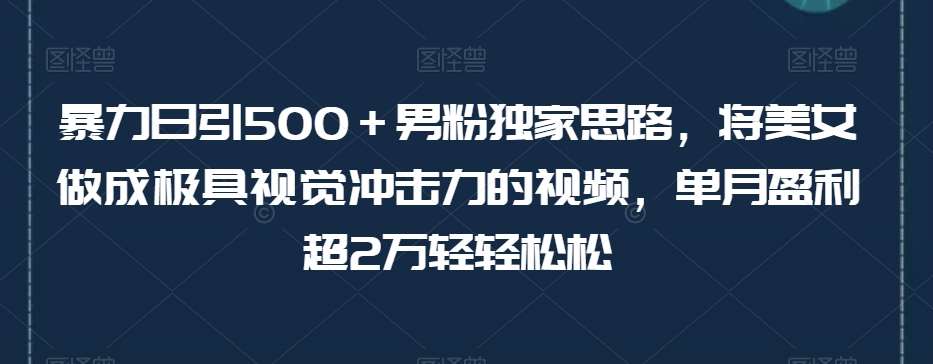 暴力日引500＋男粉独家思路，将美女做成极具视觉冲击力的视频，单月盈利超2万轻轻松松-知享知识库
