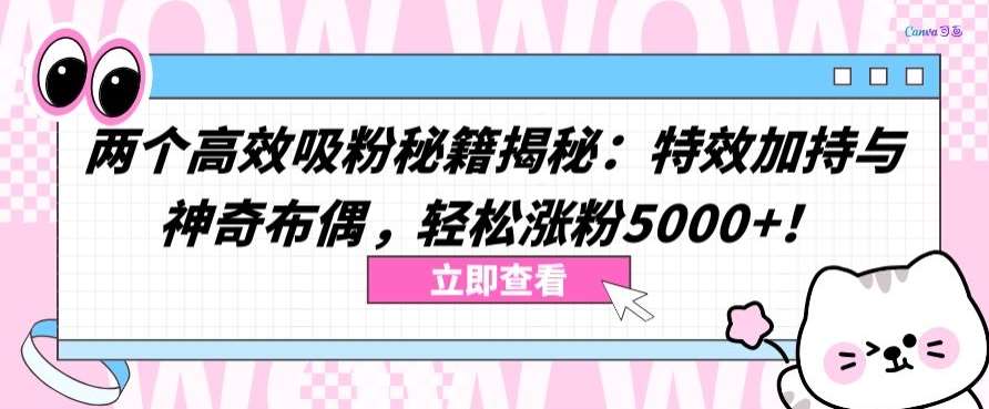 两个高效吸粉秘籍揭秘:特效加持与神奇布偶,轻松涨粉5000+【揭秘】-知享知识库