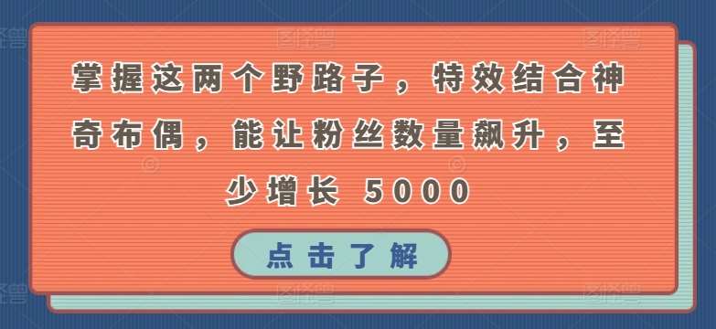 掌握这两个野路子，特效结合神奇布偶，能让粉丝数量飙升，至少增长 5000【揭秘】-知享知识库