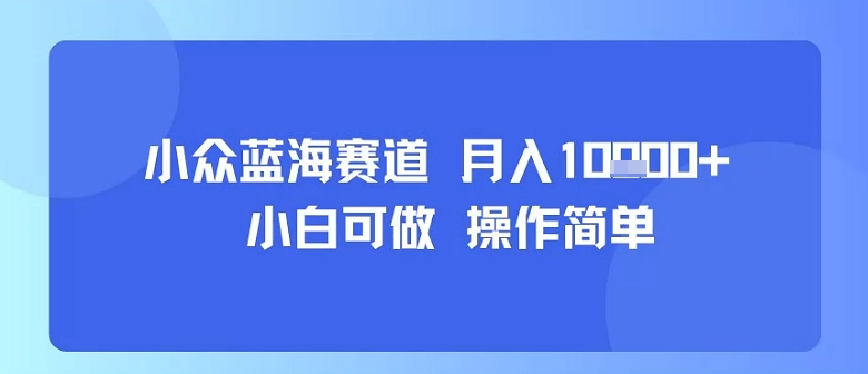小众蓝海赛道，小白可做，操作简单，每天30分钟，月入1W+-知享知识库