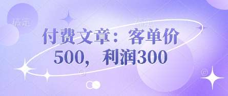 付费文章:客单价500,利润300-知享知识库