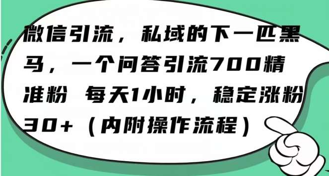 怎么搞精准创业粉？微信新赛道，每天一小时，利用Ai一个问答日引100精准粉-知享知识网