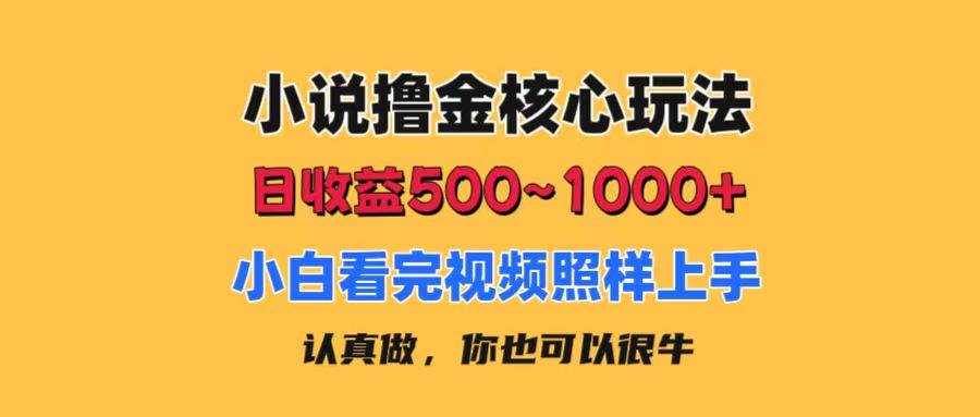 小说撸金核心玩法，日收益500-1000+，小白看完照样上手，0成本有手就行-知享知识库