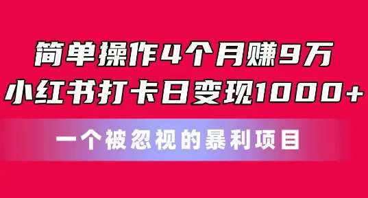 简单操作4个月赚9w，小红书打卡日变现1k，一个被忽视的暴力项目【揭秘】-知享知识库