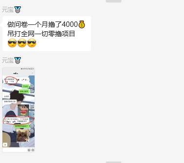 图片[2]-问卷调查兼职项目，随时可做 超低门槛 单号日撸20+-知享知识库